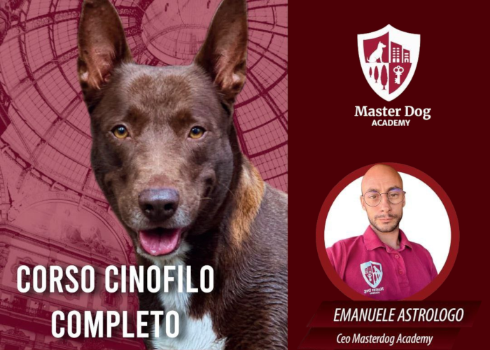 SCARICA Corso Cinofilo Completo – Master Dog