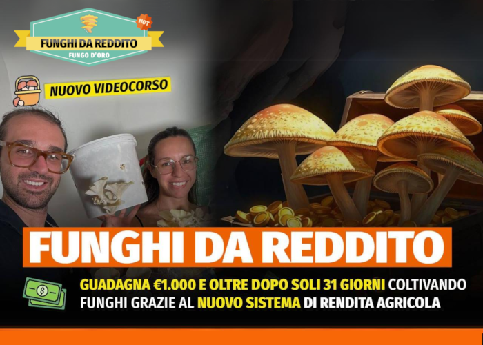 SCARICA Funghi da Reddito – Rendita Agricola