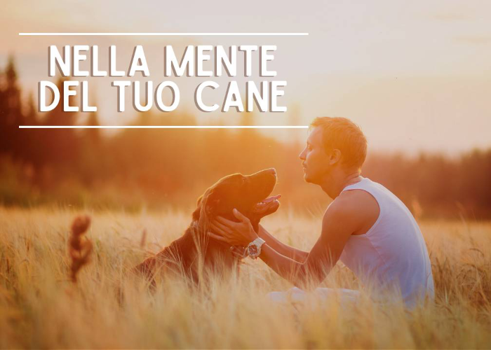 SCARICA Nella Mente del tuo Cane – Educazione Cinofila
