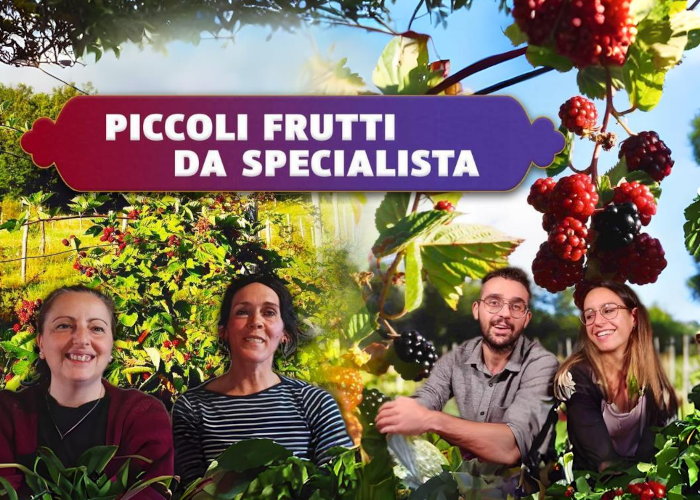 SCARICA Piccoli Frutti da Specialista – Rendita Agricola