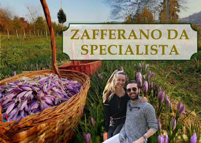 SCARICA Zafferano Da Specialista – Rendita Agricola
